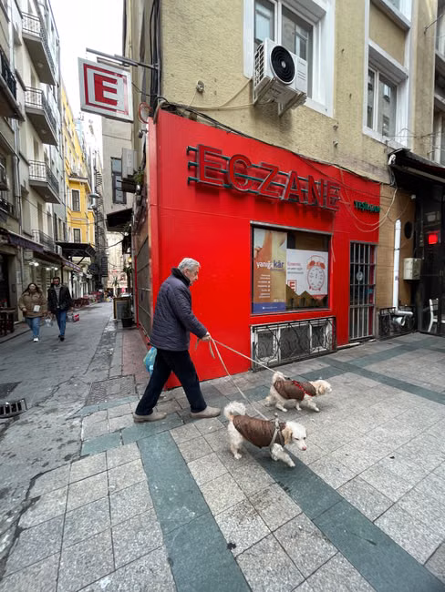 Varinha Interativa para Gatos